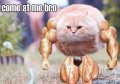 Bro.jpg