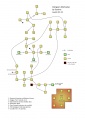 Daingean Machadae map.jpg