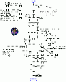 Avatars morgan vale.gif
